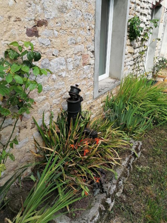 Maison Renovee En Pierres Sejour Spacieux Avec Jardin Et Terrasse Amenagee Pres Omaha Beach & Bayeux A 5Mn De La Mer Tous Commerces Commes Eksteriør billede