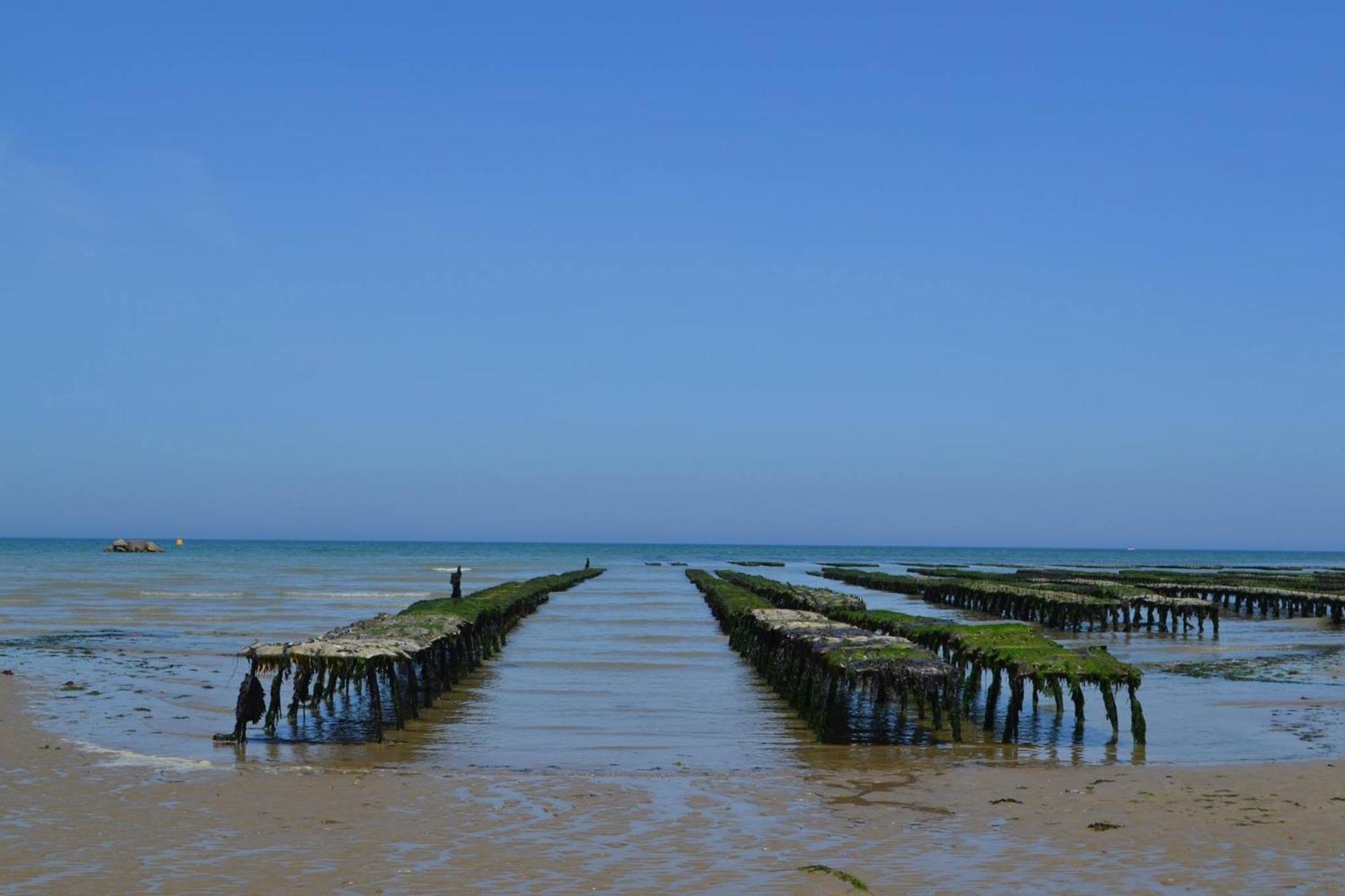 Maison Renovee En Pierres Sejour Spacieux Avec Jardin Et Terrasse Amenagee Pres Omaha Beach & Bayeux A 5Mn De La Mer Tous Commerces Commes Eksteriør billede
